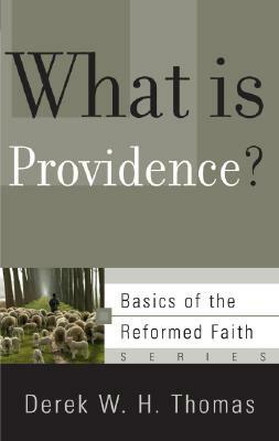 What Is Providence? by Derek W. H. Thomas
