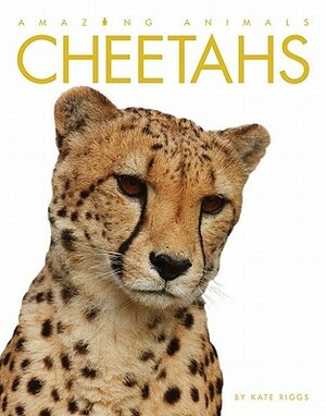 Amazing Animals: Cheetahs by Kate Riggs