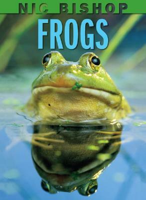 Nic Bishop: Frogs by Nic Bishop