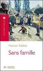 Sans Famille by Christine Ferreira, Cecile Schwartz, Hector Malot