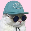rainbo's profile picture