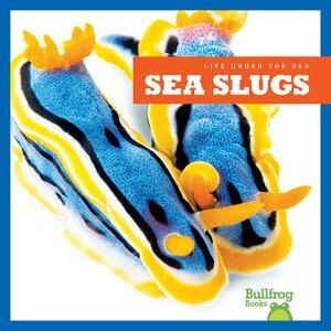 Sea Slugs by Mari Schuh