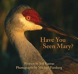 Have You Seen Mary? by Jeff Kurrus