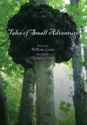 Tales of Small Adventure by William Lyons