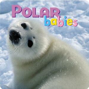 Polar Babies by Aimee Jackson, Kristen McCurry