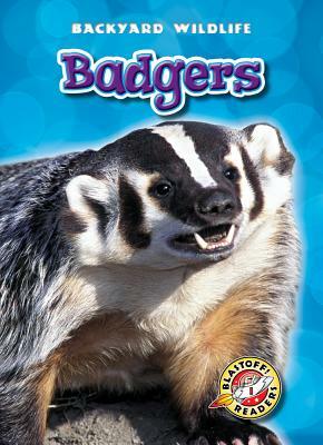 Badgers by Derek Zobel