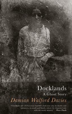 Docklands by Damian Walford Davies