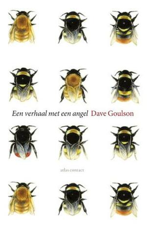 Een verhaal met een angel by Dave Goulson, Nico Groen