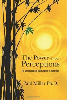 The Power of your Perceptions - The choices you can make and how to make them by Paul Miller