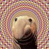 cubeof10's profile picture