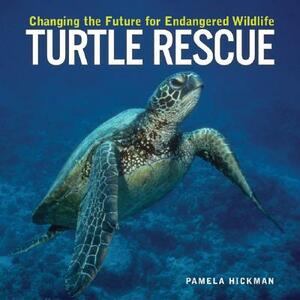 Turtle Rescue: Changing the Future for Endangered Wildlife by Pamela Hickman