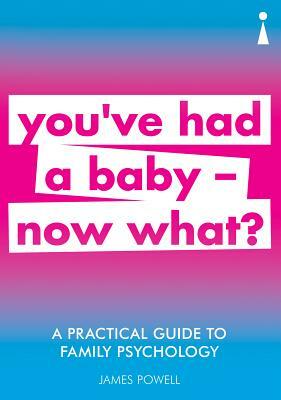 A Practical Guide to Family Psychology: You've Had a Baby --Now What? by James Powell