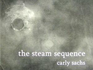 The Steam Sequence by Carly Sachs