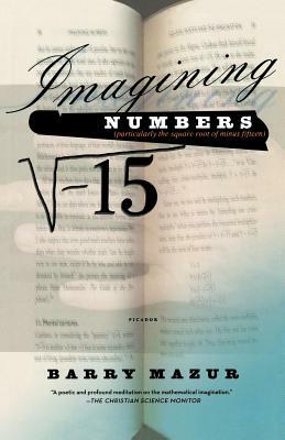 Imagining Numbers by Barry Mazur