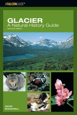 Glacier: A Natural History Guide by David Rockwell