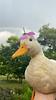 kiaya's profile picture
