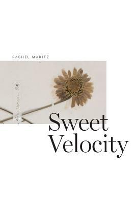 Sweet Velocity by Rachel Moritz