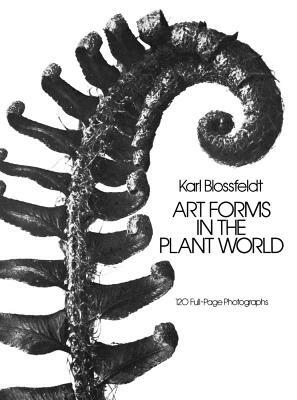 Art Forms in the Plant World by Karl Blossfeldt
