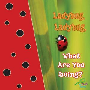 Ladybug, Ladybug, What Are You Doing? by Jo Cleland