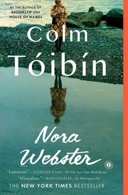 Nora Webster by Colm Tóibín