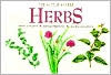 The Little Guides: Herbs by Geoffrey Burnie