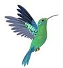 julieannhummingbird's profile picture
