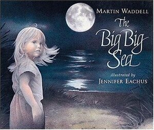 The Big Big Sea by Martin Waddell, Jennifer Eachus