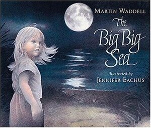 The Big Big Sea by Jennifer Eachus, Martin Waddell