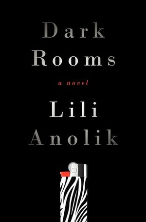 Dark Rooms by Lili Anolik