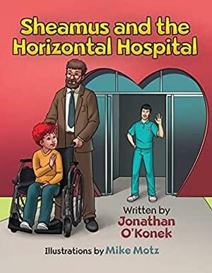 Sheamus and the Horizontal Hospital by Jonathan J. O'Konek