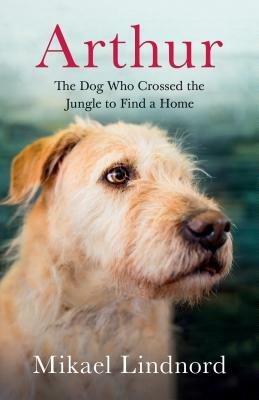 Arthur: The Dog Who Crossed the Jungle to Find a Home by Mikael Lindnord