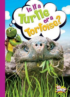 Is It a Turtle or a Tortoise? by Gail Terp