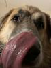 kitschyreader's profile picture
