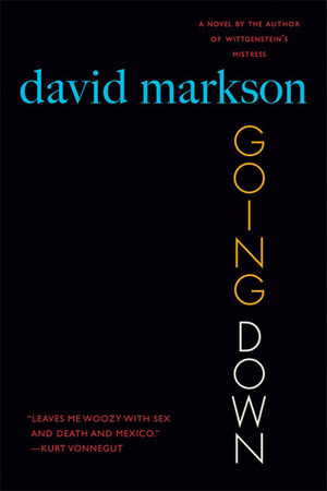 Going Down by David Markson
