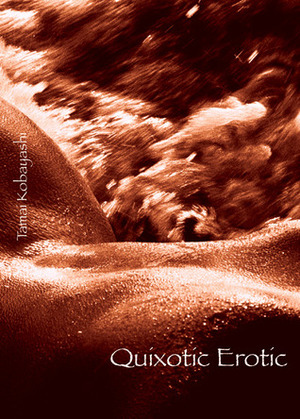 Quixotic Erotic by Tamai Kobayashi