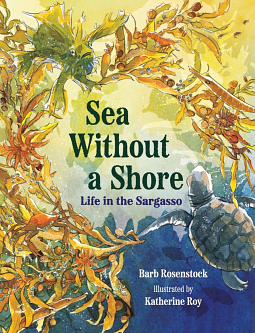 Sea Without a Shore by Barb Rosenstock