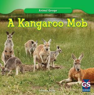 A Kangaroo Mob by Johanna Burke