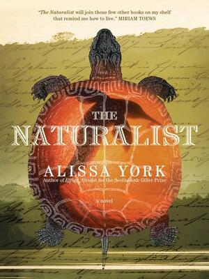 The Naturalist by Alissa York