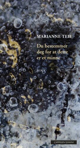 Du bestemmer deg for at dette er et minne by Marianne Teie