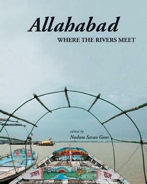 Allahabad: Where the Rivers Meet by Neelum Saran Gour