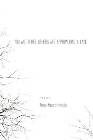You and Three Others Are Approaching a Lake by Anna Moschovakis