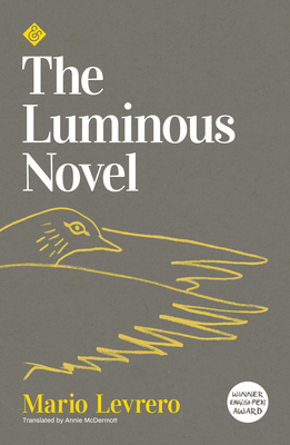 The Luminous Novel by Mario Levrero