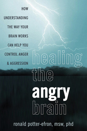 Healing the Angry Brain: How Understanding the Way Your Brain Works Can Help You Control Anger and Aggression by Ronald T. Potter-Efron
