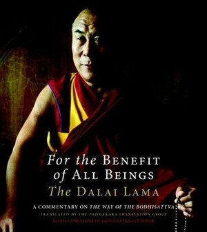 For the Benefit of All Beings: A Commentary on the Way of the Bodhisattva by James Gimian, Dalai Lama XIV, Wulstan Fletcher, Padmakara Translation Group
