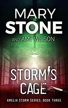 Storm's Cage by Amy Wilson, Amy Wilson, Mary Stone