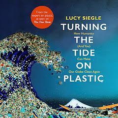 Turning the Tide on Plastic: How Humanity (And You) Can Make Our Globe Clean Again by Lucy Siegle