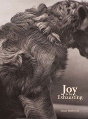 Joy Is So Exhausting by Susan Holbrook