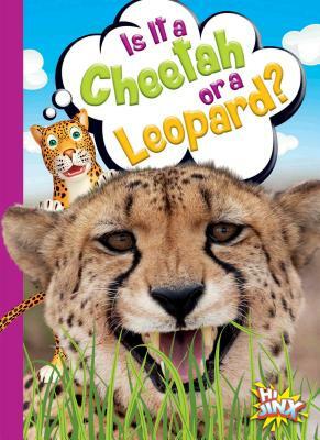 Is It a Cheetah or a Leopard? by Gail Terp