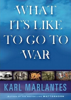 What It Is Like to Go to War by Karl Marlantes