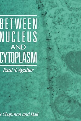 Between Nucleus and Cytoplasm by Paul Agutter